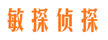 鸡冠市侦探公司